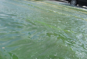 #zaļgans ūdens, hidraulikā plīstot caurulei
