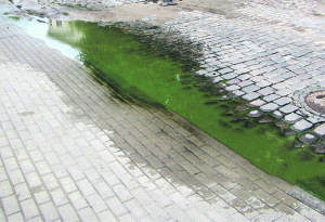 zaļa ūdens noplūde ietves malā